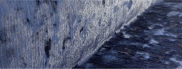Dettaglio di un tessuto in velluto blu profondo