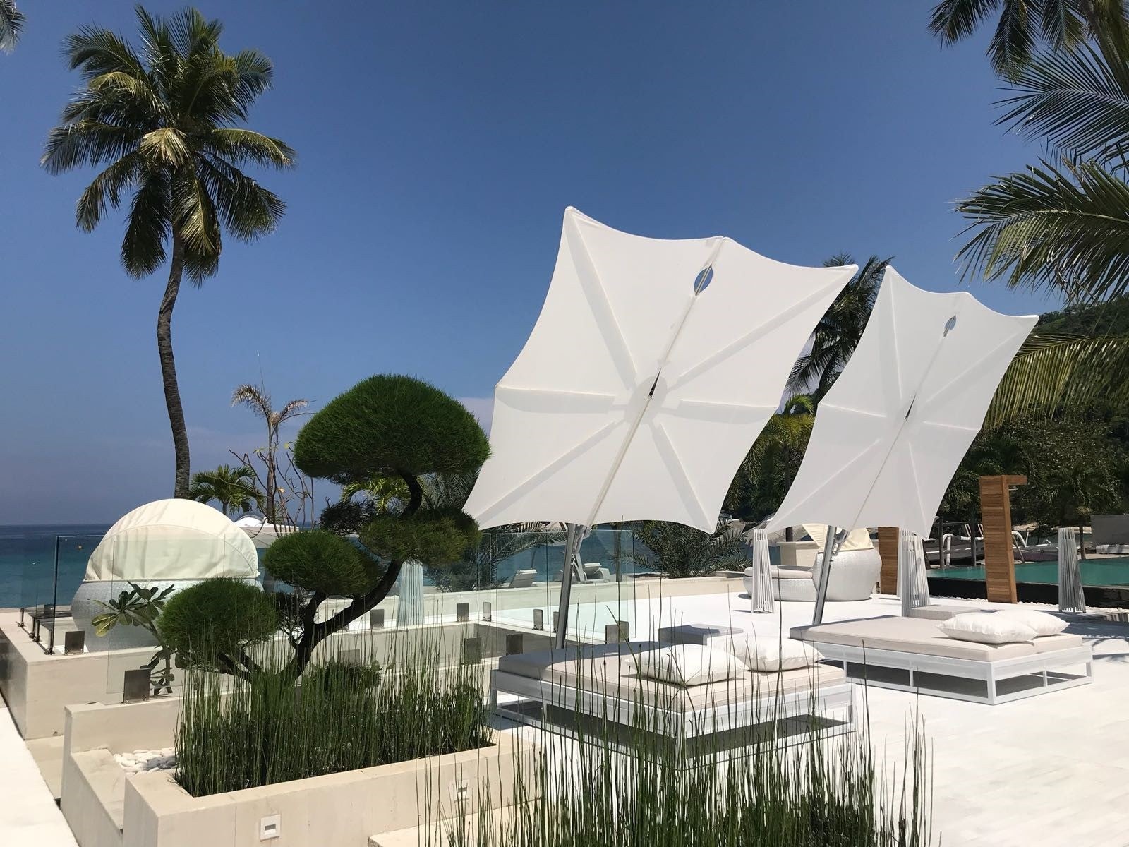 Due ombrelloni Spectra inclinati su una terrazza con palme