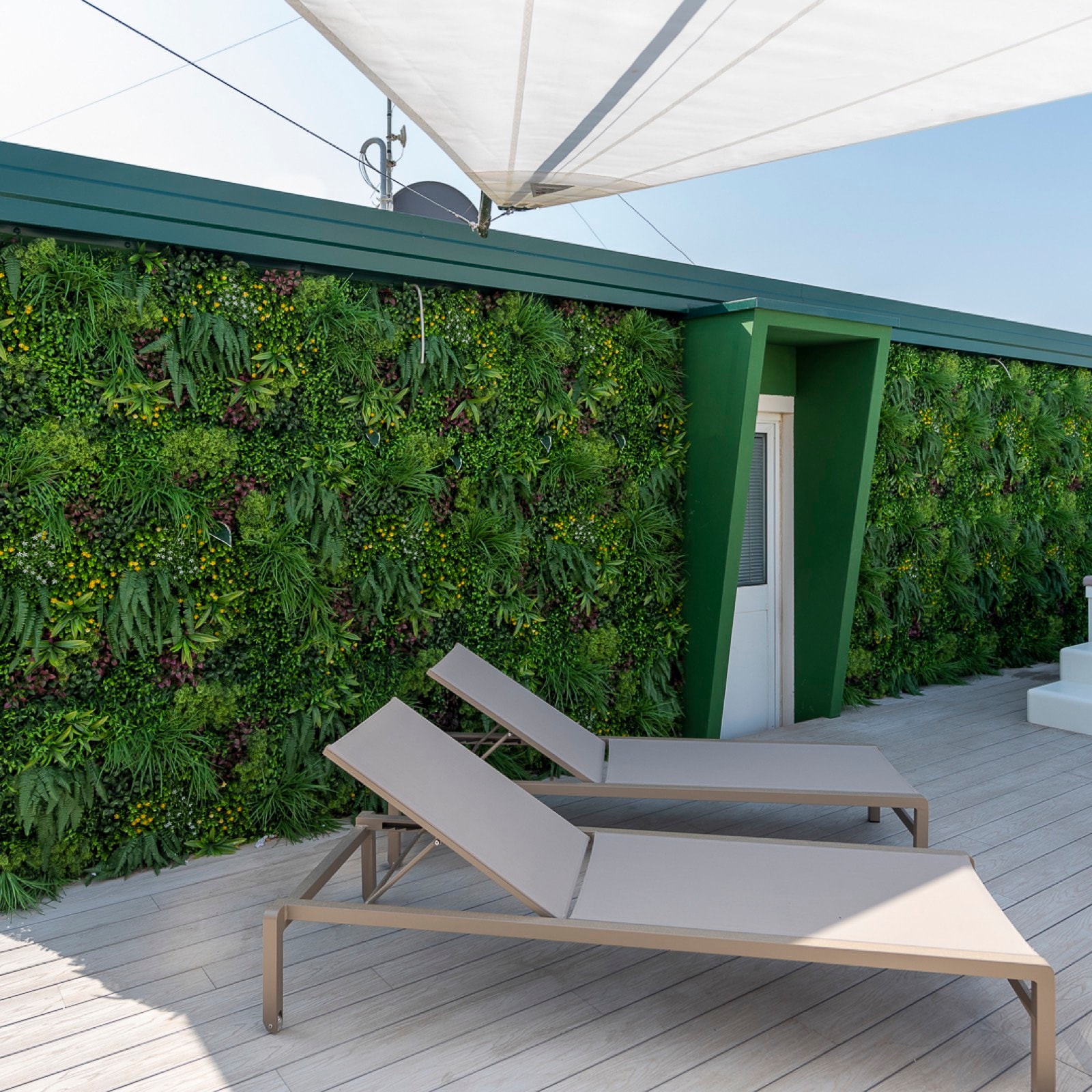 Lettino davanti alla parete verde del rooftop dell’Hotel Albatros
